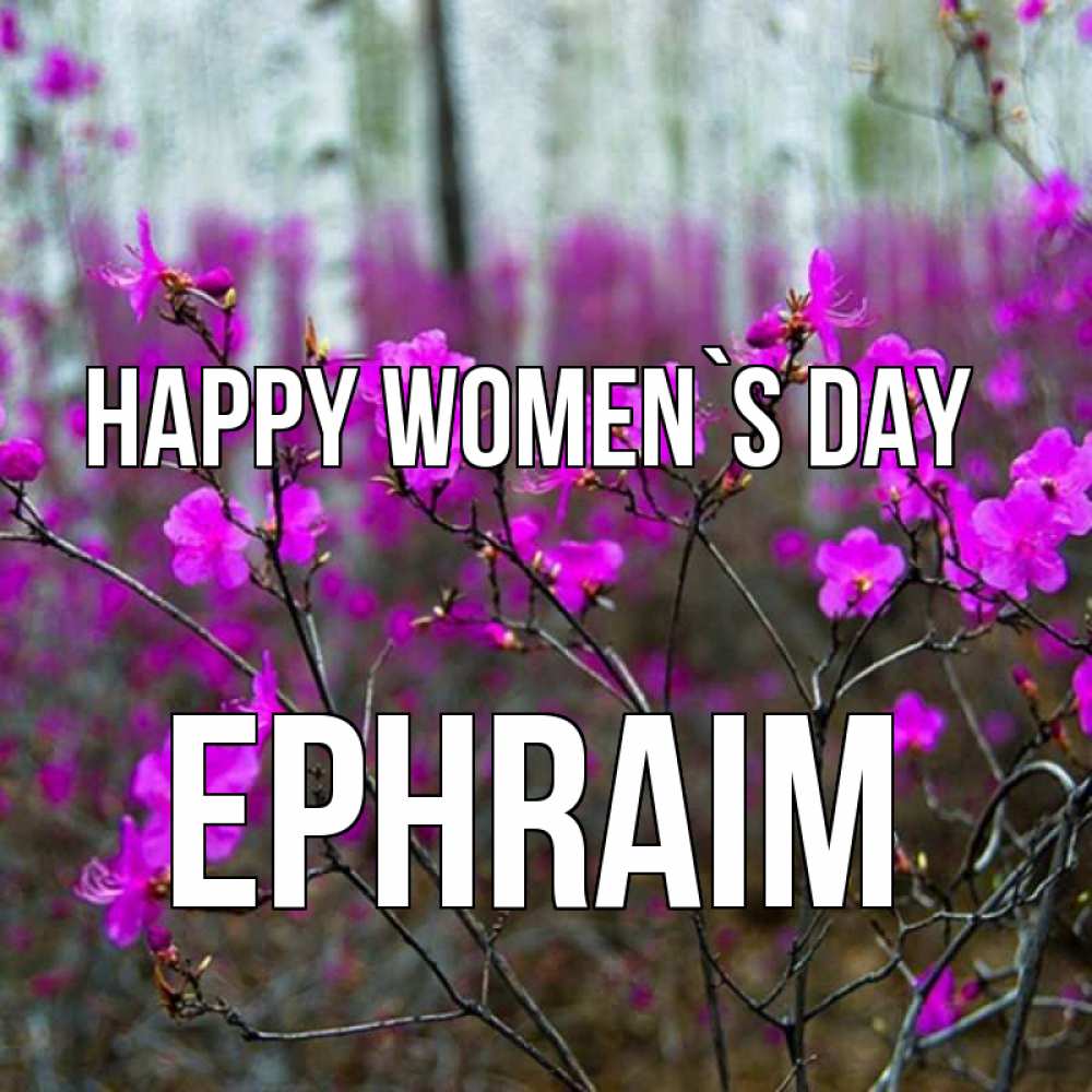 Greetings card с именем, Ephraim happy women`s day дикие цветы Greetings with text for free download 